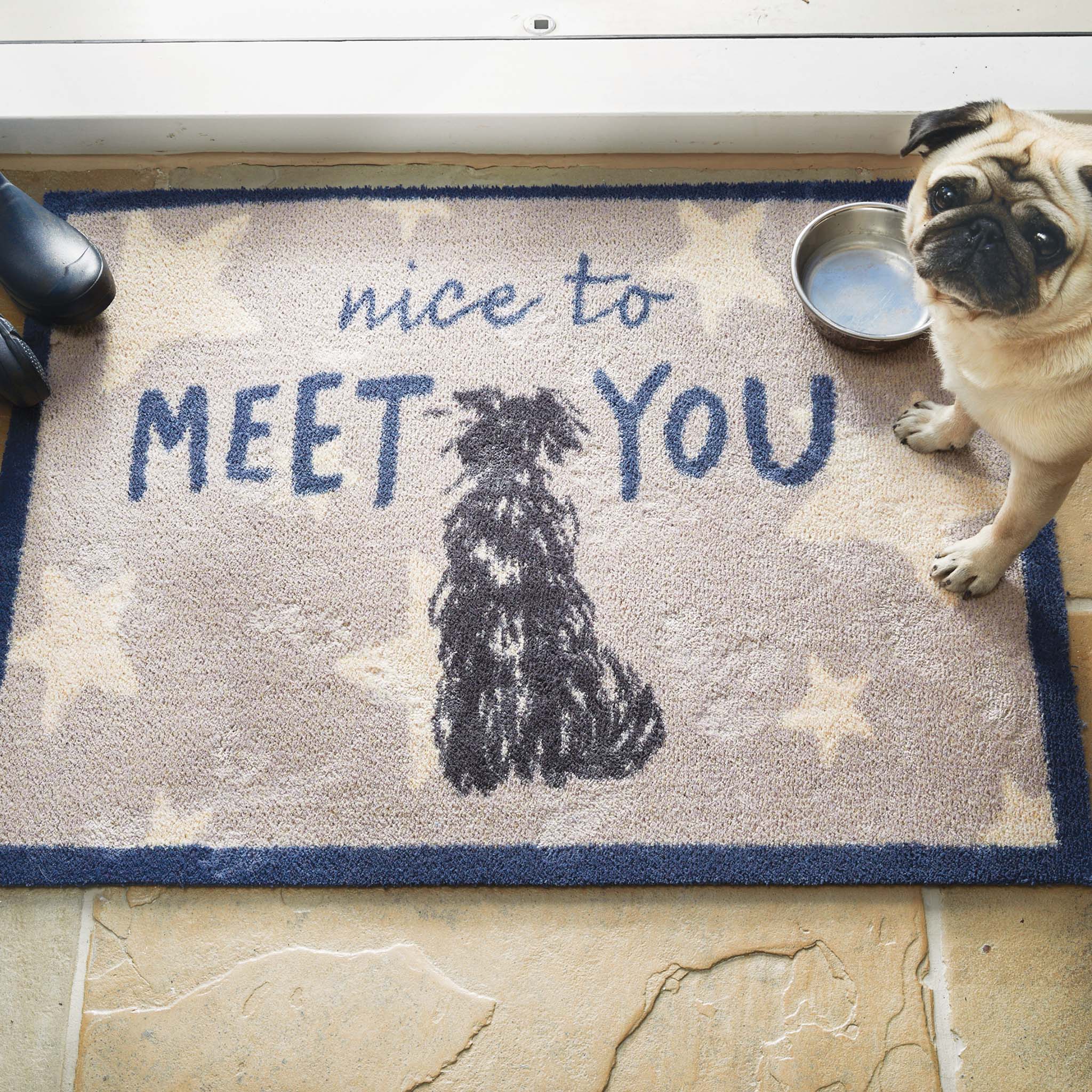 Meet You Washable Doormat