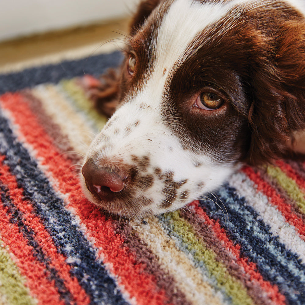 Stripe 32 Multi Washable Doormat